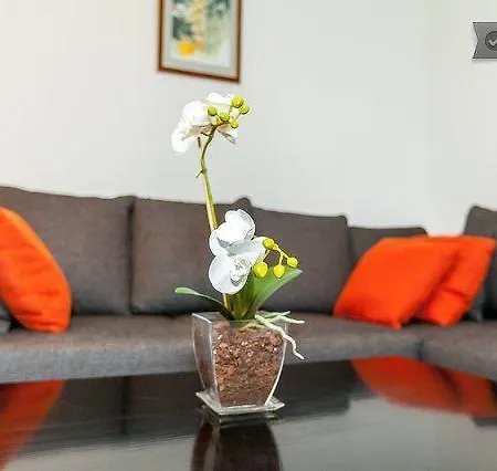 White Orchidea *